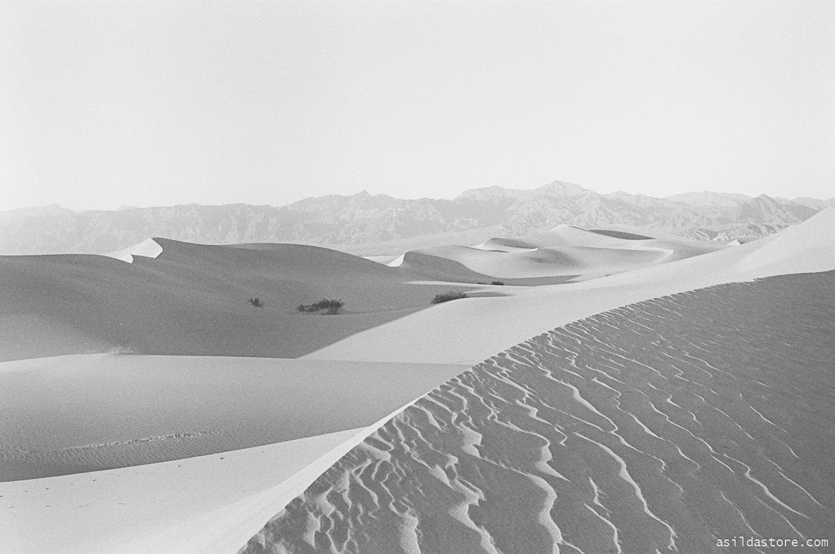 Mesquite Dunes in Death Valley. Shot on 35mm film HP5 and Leica M6