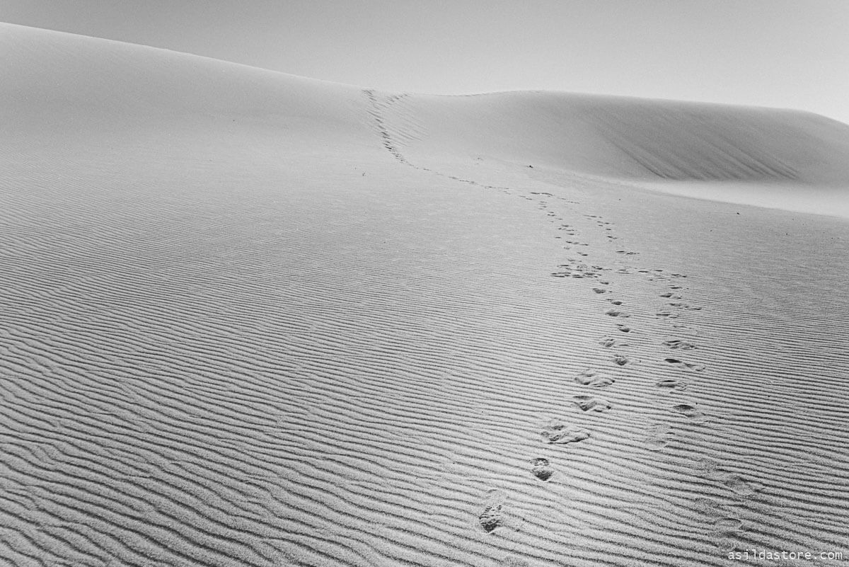 California Places to Go - Dumont Dunes