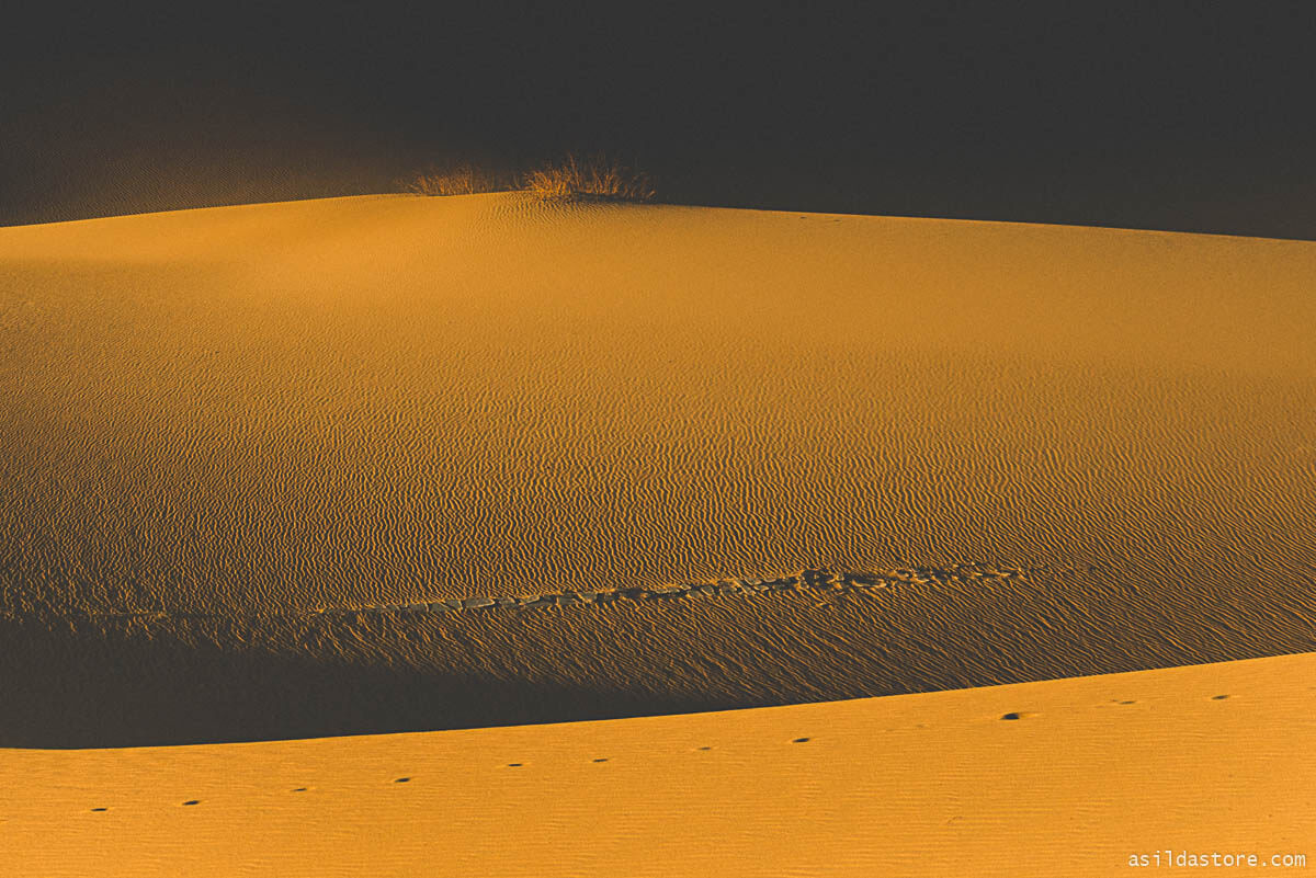 California Places to Go - Mesquite Sand Dunes