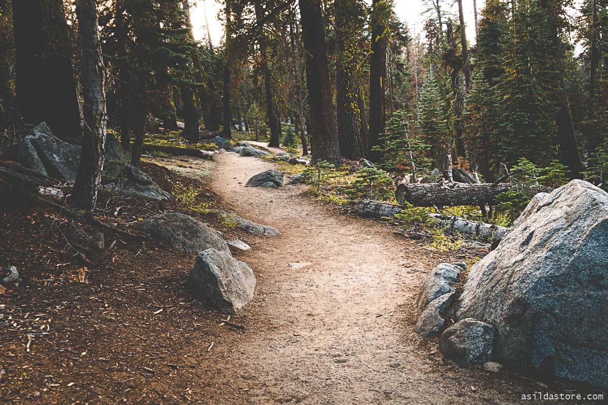 California Places to Go - Yosemite Taft Point