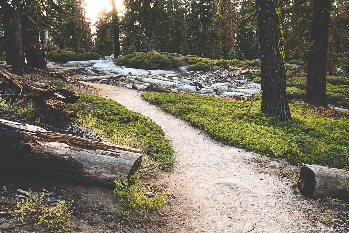 California Places to Go - Yosemite Taft Point