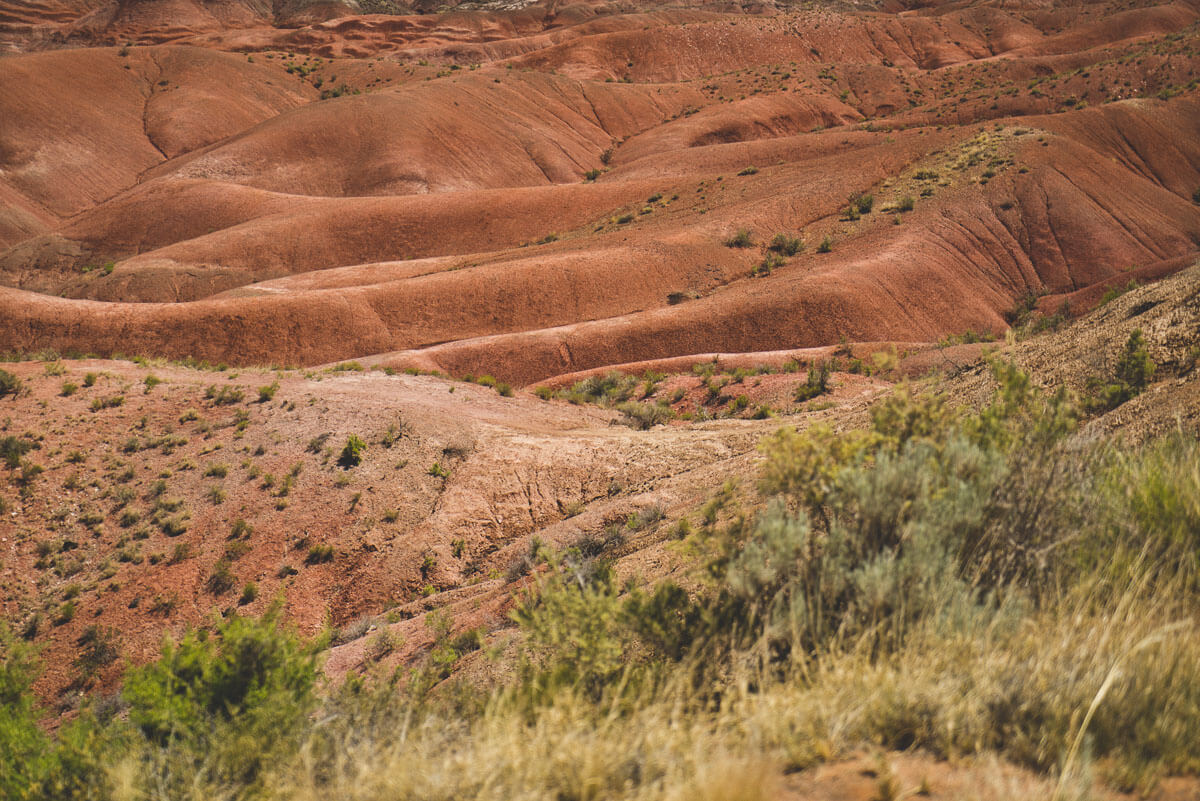 Route 66 Attractions: Petrified National Forest