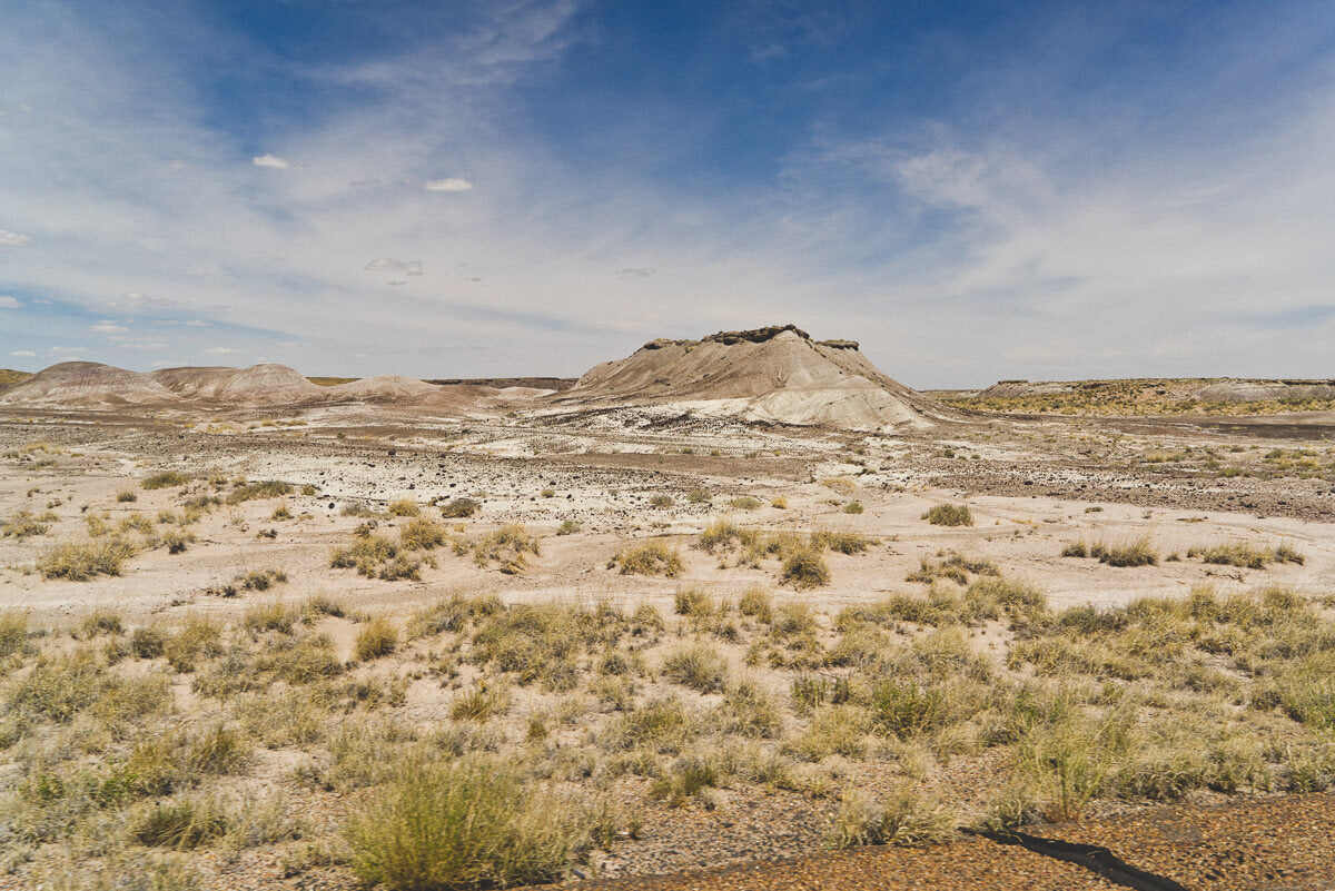 Route 66 Attractions: Petrified National Forest