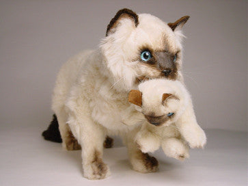 ragdoll stuffed animal