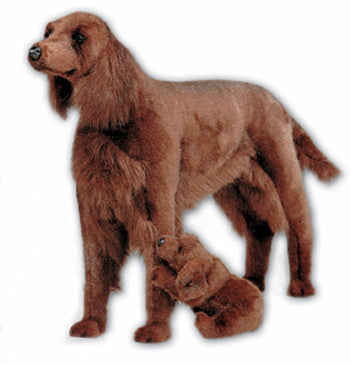 irish setter stuffed animal