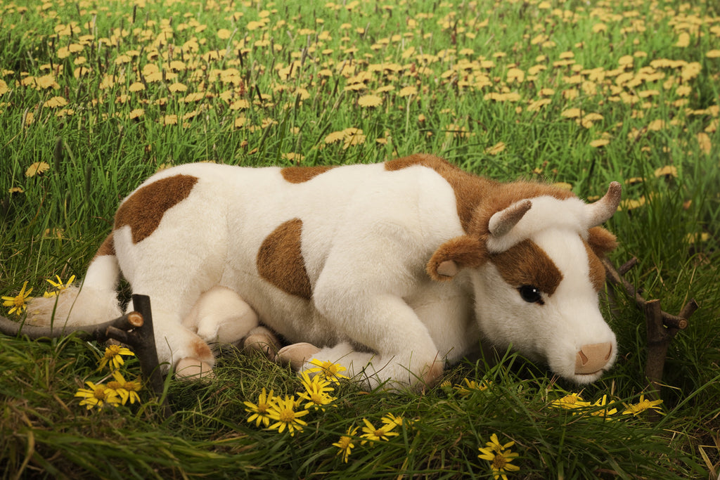 "Clover" Cow