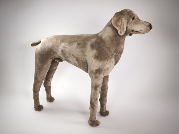 stuffed weimaraner