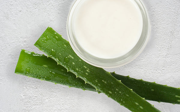 Aloe For Skin Care