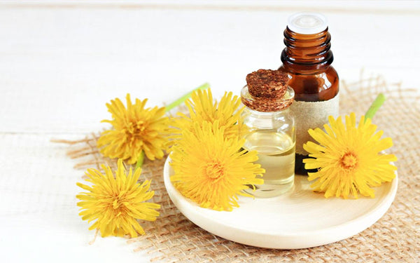 Safflower Oil Essential For Skin Care