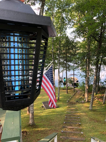 best place to put bug zapper