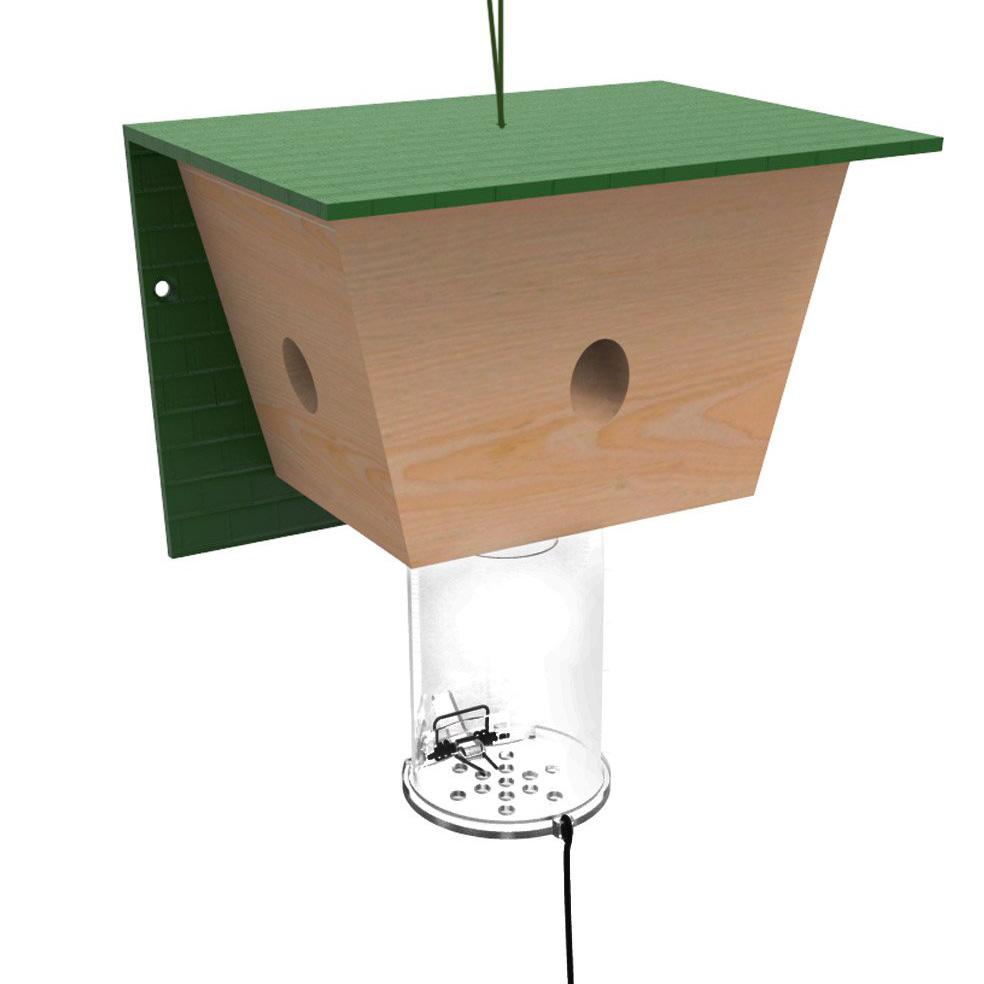 Carpenter Bee Traps