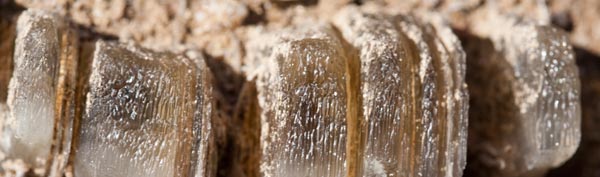 Gypsum Crystals of White Sands