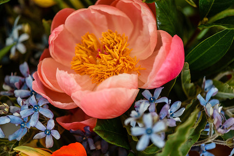 Wedding flowers