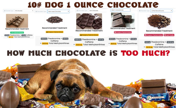 how much chocolate is safe for a dog