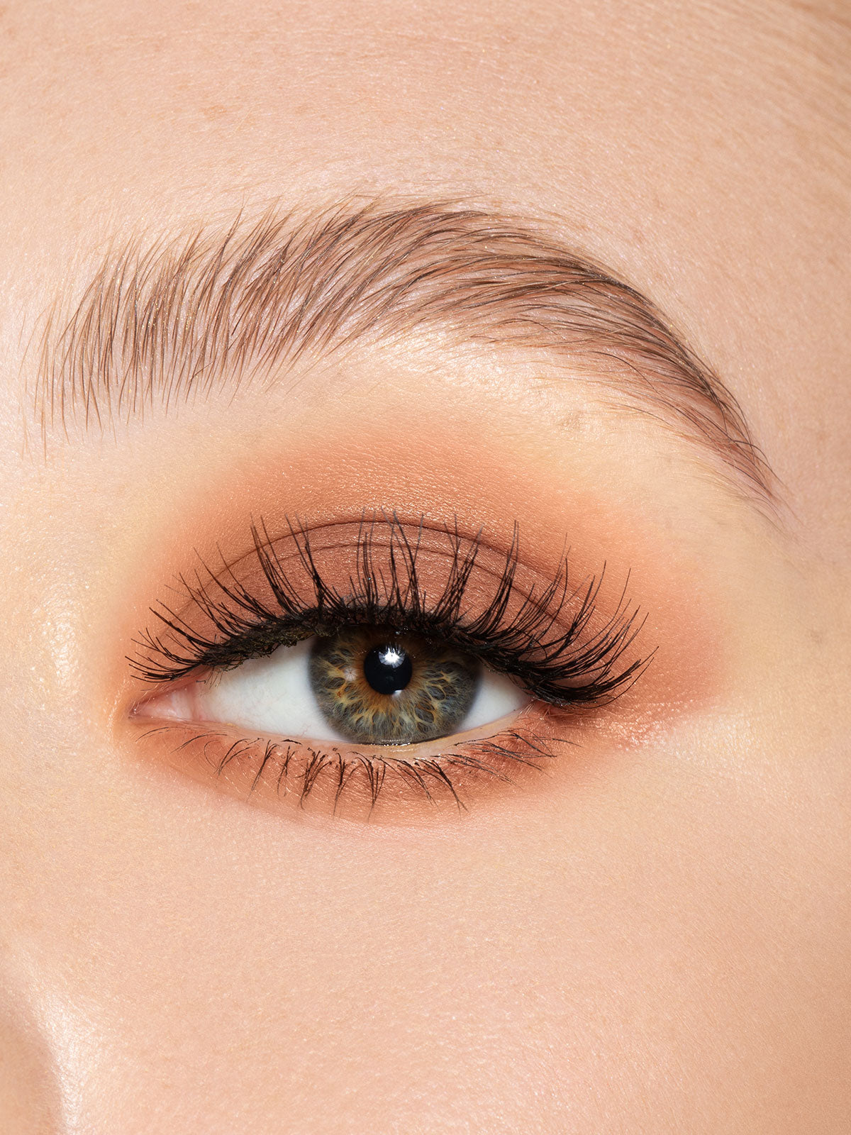 Main Event | Eyeshadow Single Main Event | Eyeshadow Single