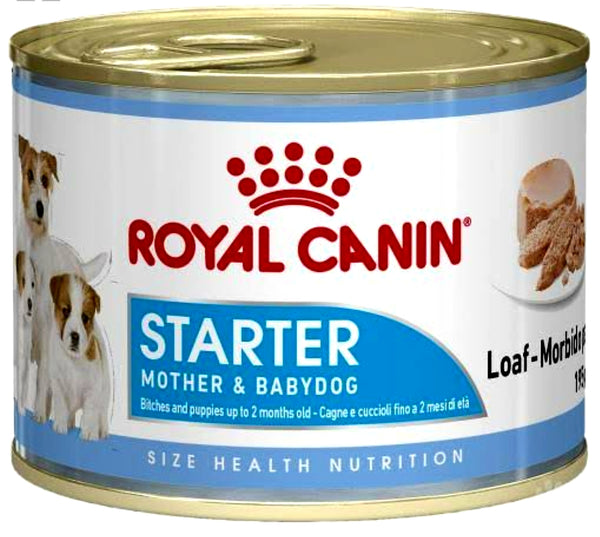 royal canin starter formula