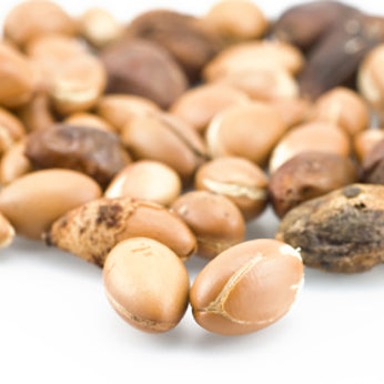 Argan nuts