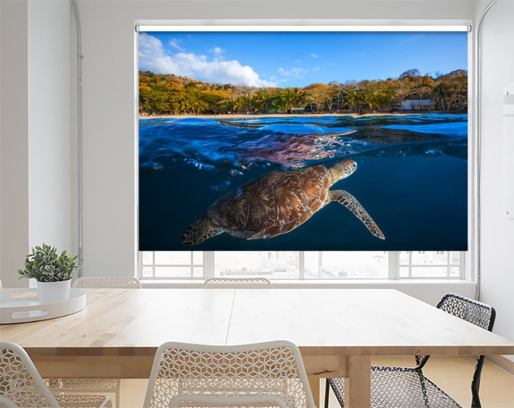 Underwater Sea Turtle roller Blind | Photo Printed Window Blinds | Art