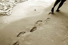 Leave nothing but footprints in the sand - becoming more eco-friendly
