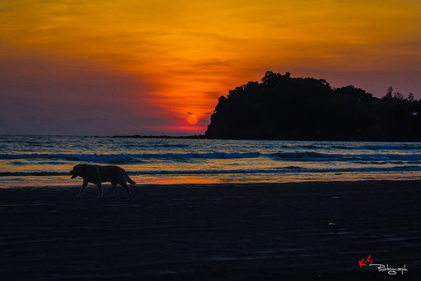 the best beach of phuket.