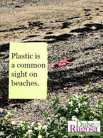 Plastic is a common sight on beaches.