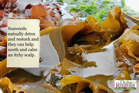 Seaweeds can help sooth and calm itchy scalps.