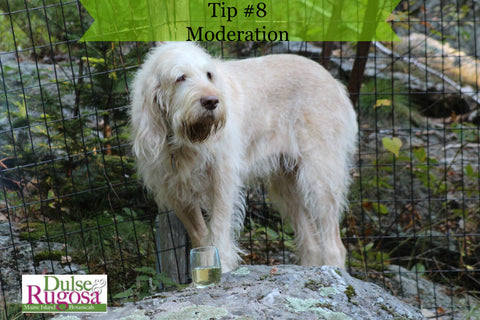 Beauty tips from dogs- moderation.