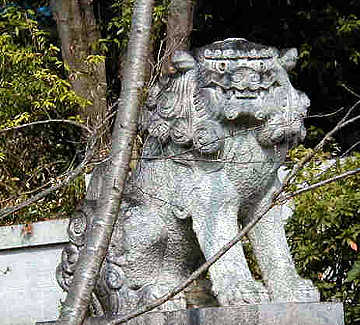 Shi-Shi Lion on street near Yoko's house