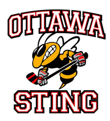 Ottawa Sting Minor Peewee Team