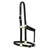 Weaver Leather Nylon Adjustable Draft Horse Halter, 1", Average - West 20 Saddle Co.