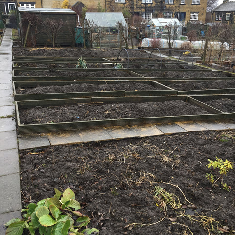 View across the plot