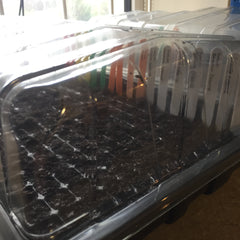 Seeds in propagator germinating