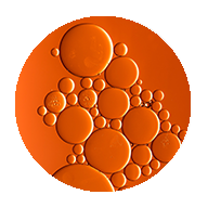 Algae oil blend