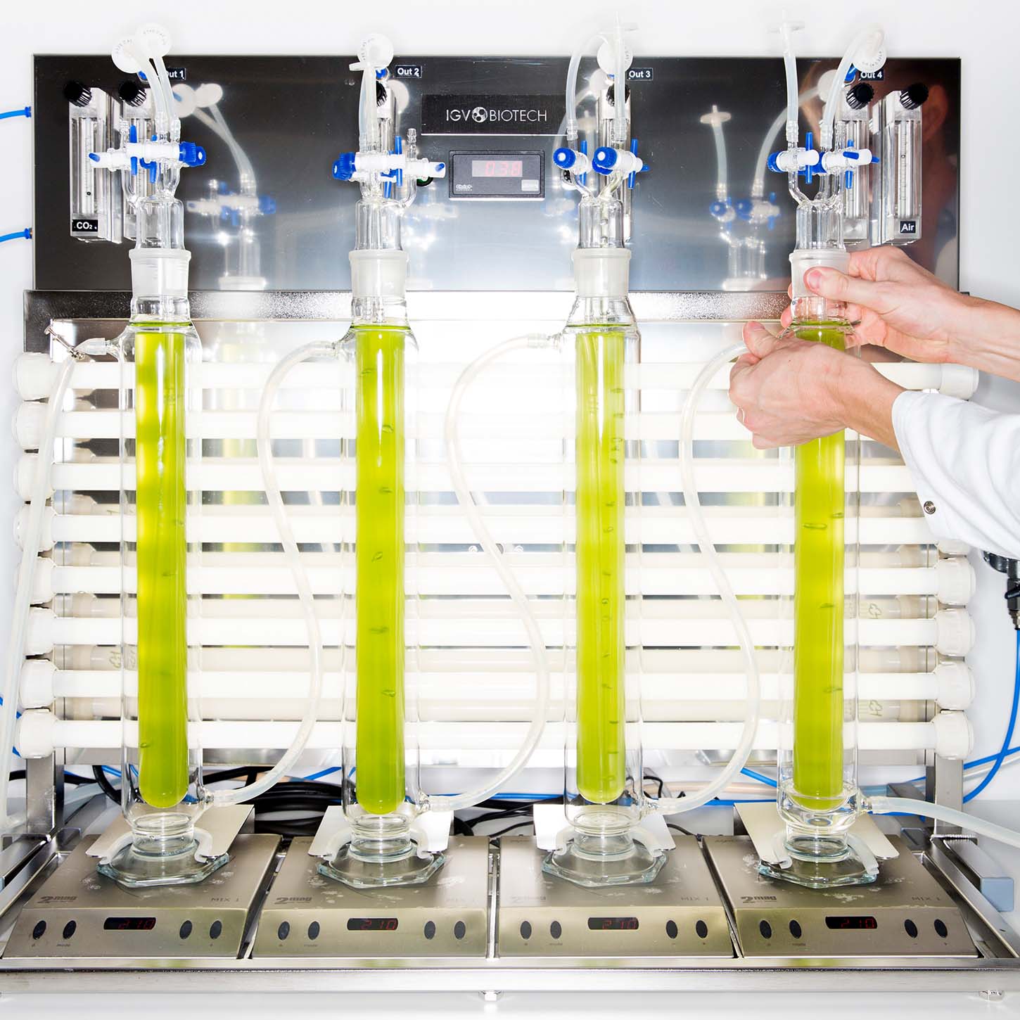 Canisters of algae in water in the Simris laboratory