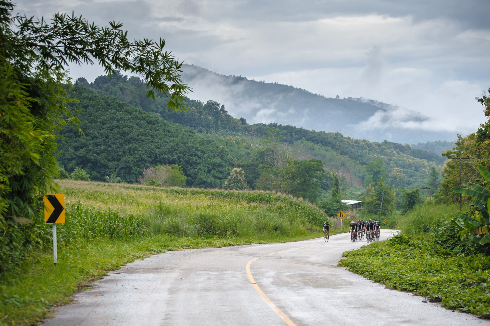 Nich cycling cycling team road bike thailand