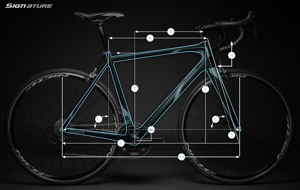 NICH SIGNATURE 2016 geometry size