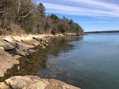 Wolfe's Neck Woods State Park Freeport Maine