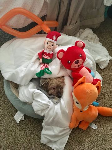 SnuggleBuddies Red Bear and Orange Fox with dog