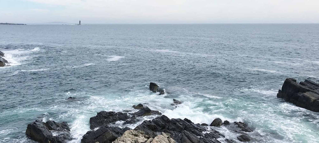 Ocean Maine Landscape Beachdashery