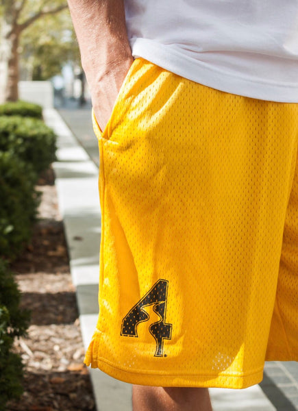 gold champion shorts