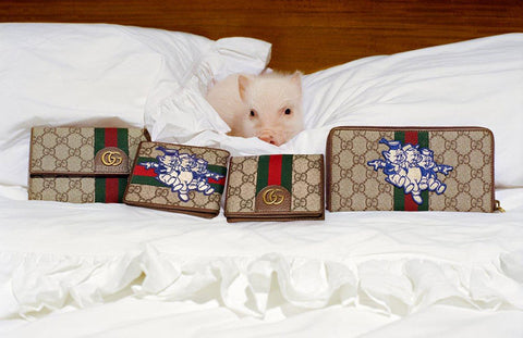 Gucci Capsule collection pig