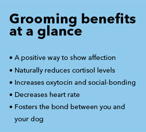How mindful grooming can reduce stress and build confidence in dogs