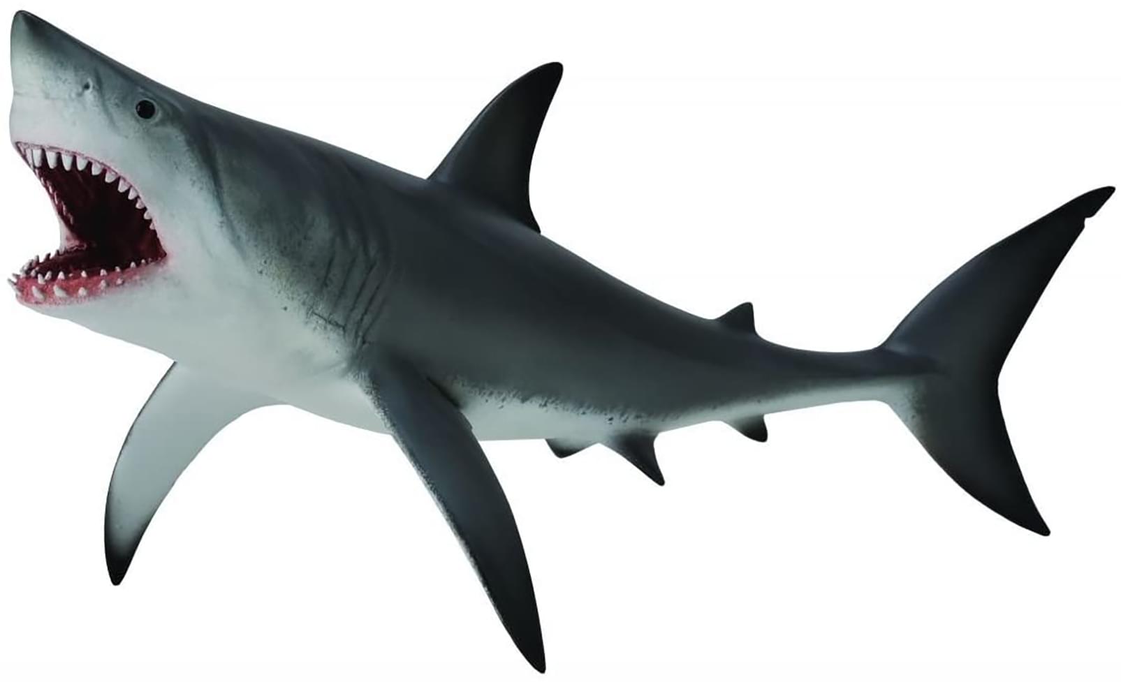 Small Australian sealife replica  GREAT WHITE SHARK 'Science and Nature ' model 