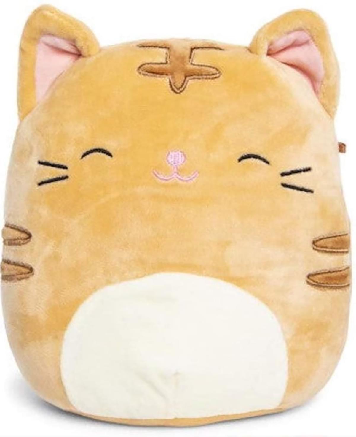 squishmallows 16 inch nathan the tabby cat