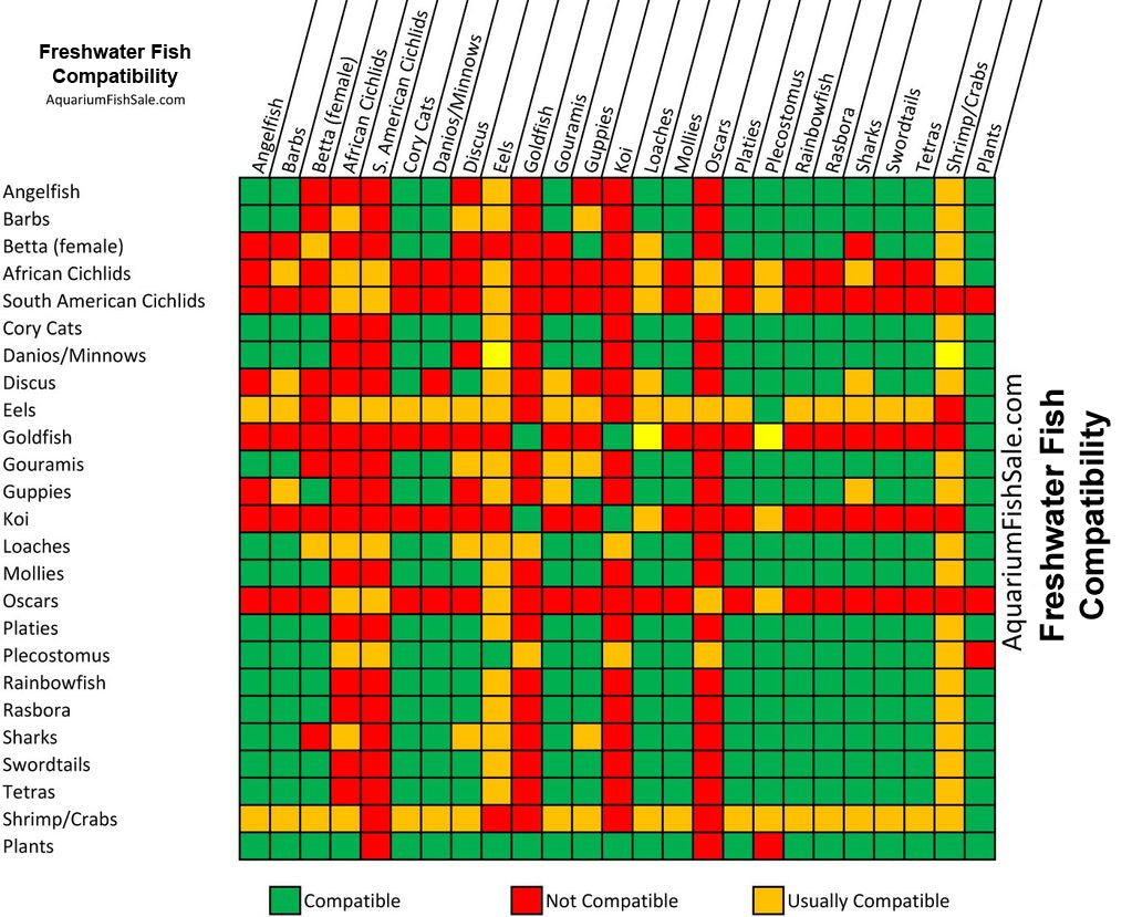 Tropical freshwater aquarium fish compatibility chart