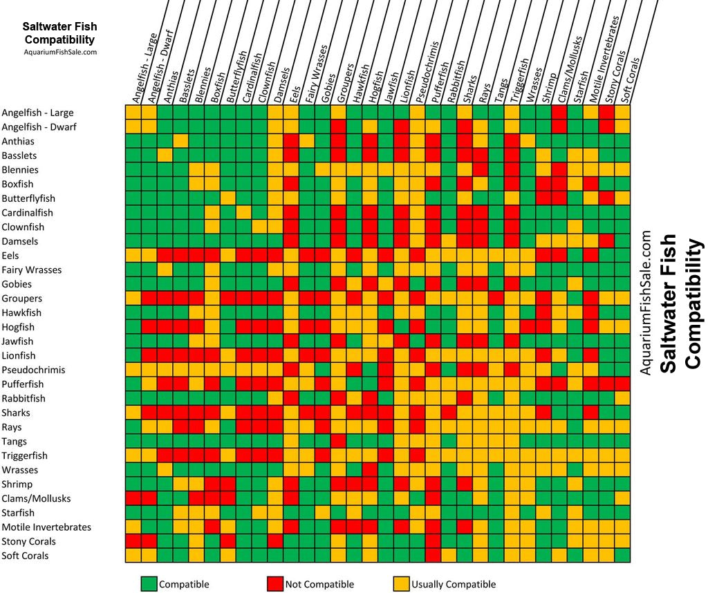 Tropical saltwater aquarium fish compatibility chart