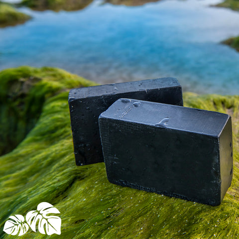 Activated Charcoal handcrafted soap for Earth Day | Hawaiian Bath & Body 