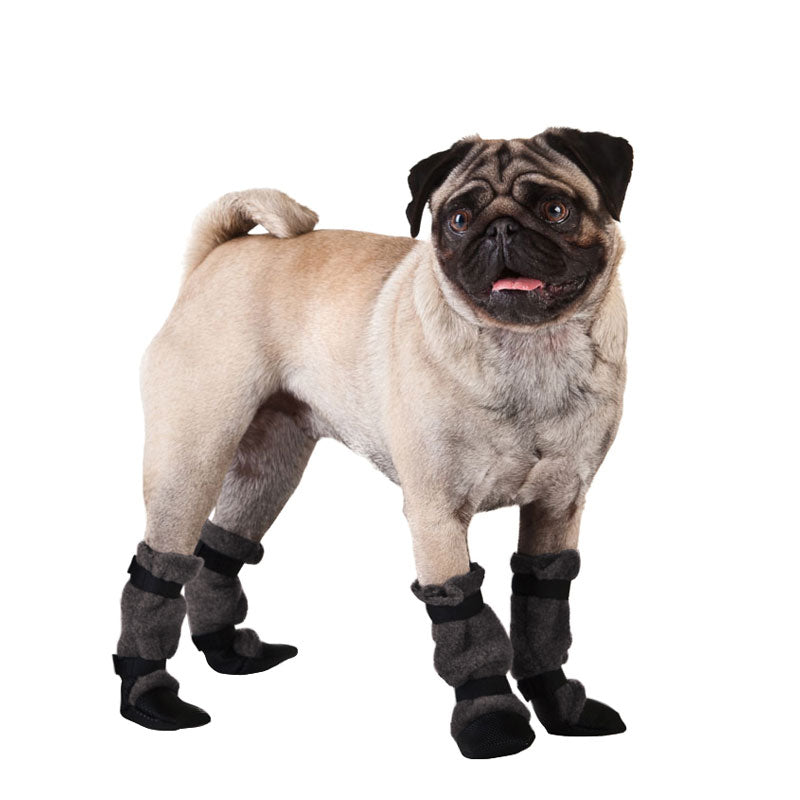 boots for pugs