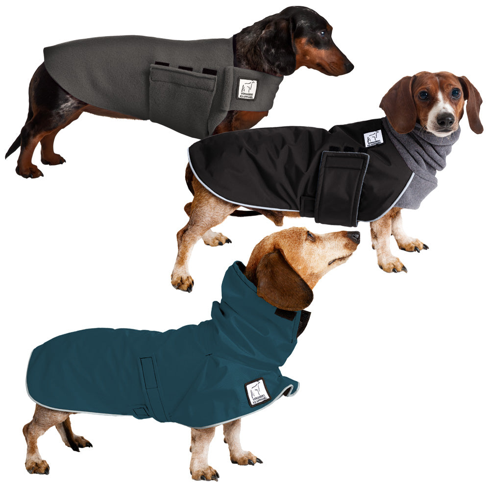 Miniature Dachshund All Weather Combo Voyagers K9 Apparel