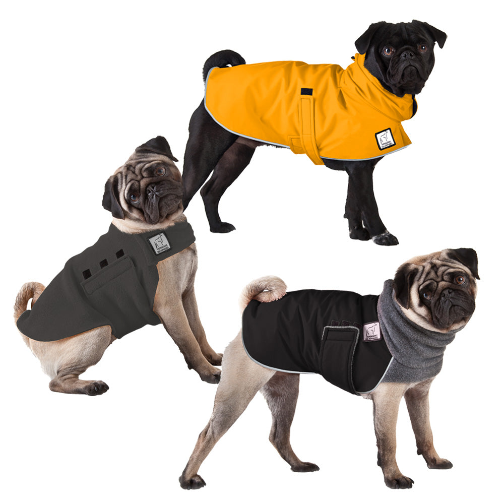 pug winter jacket